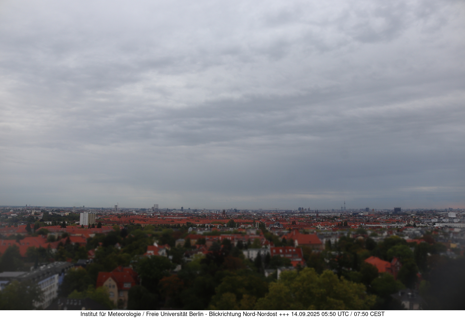 Webcam Bild
