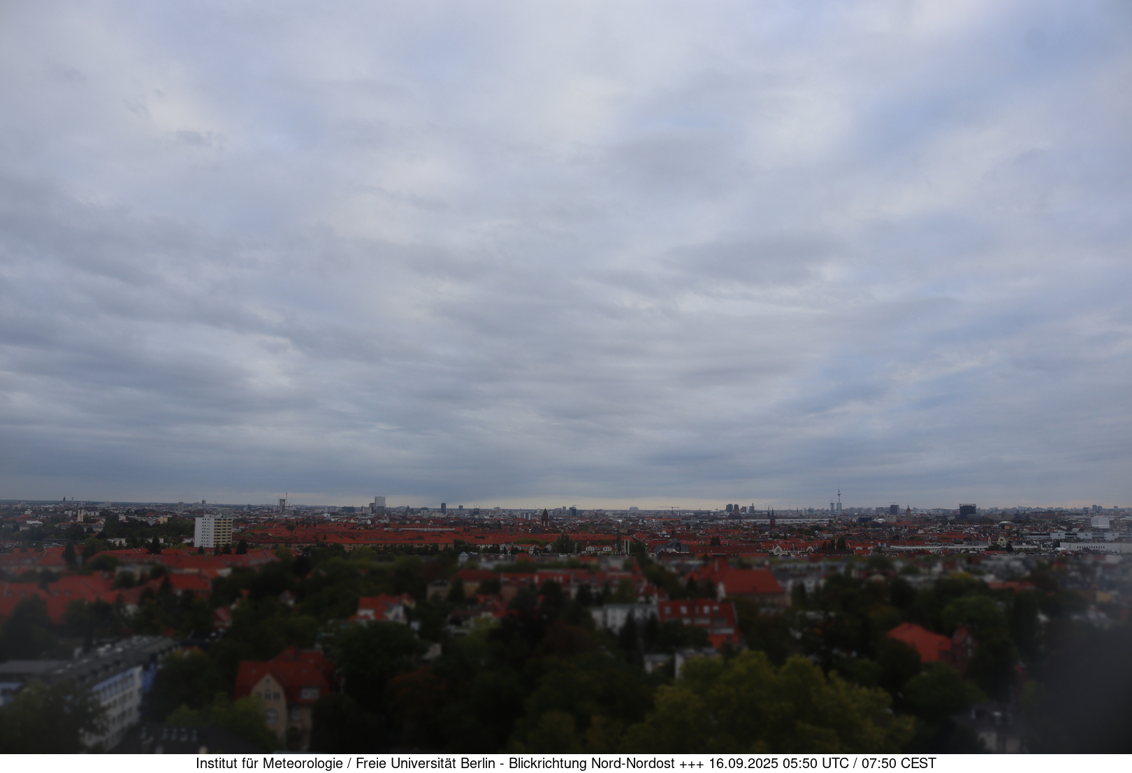 Webcam Bild