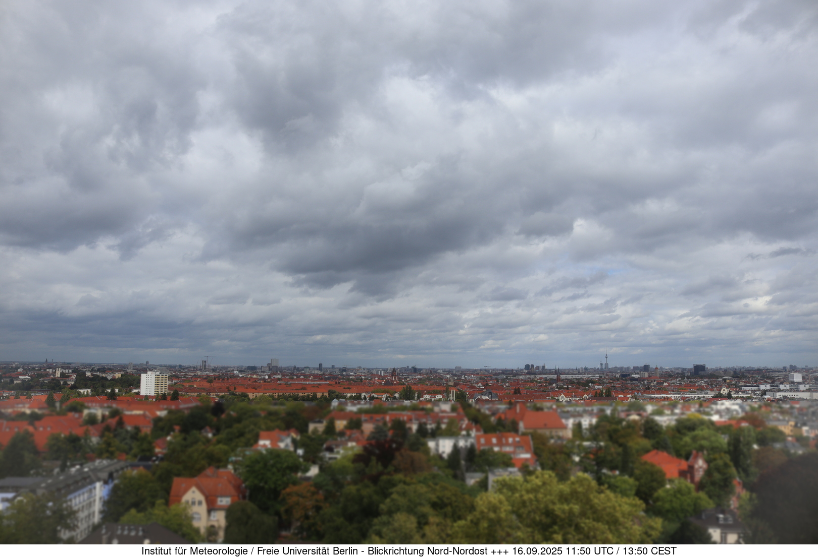 Webcam Bild