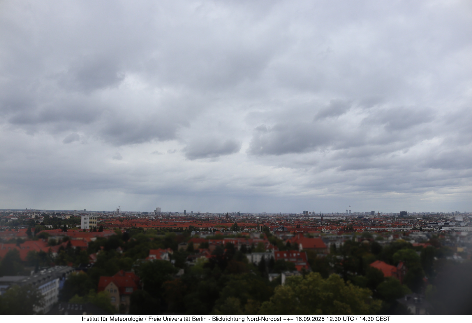 Webcam Bild