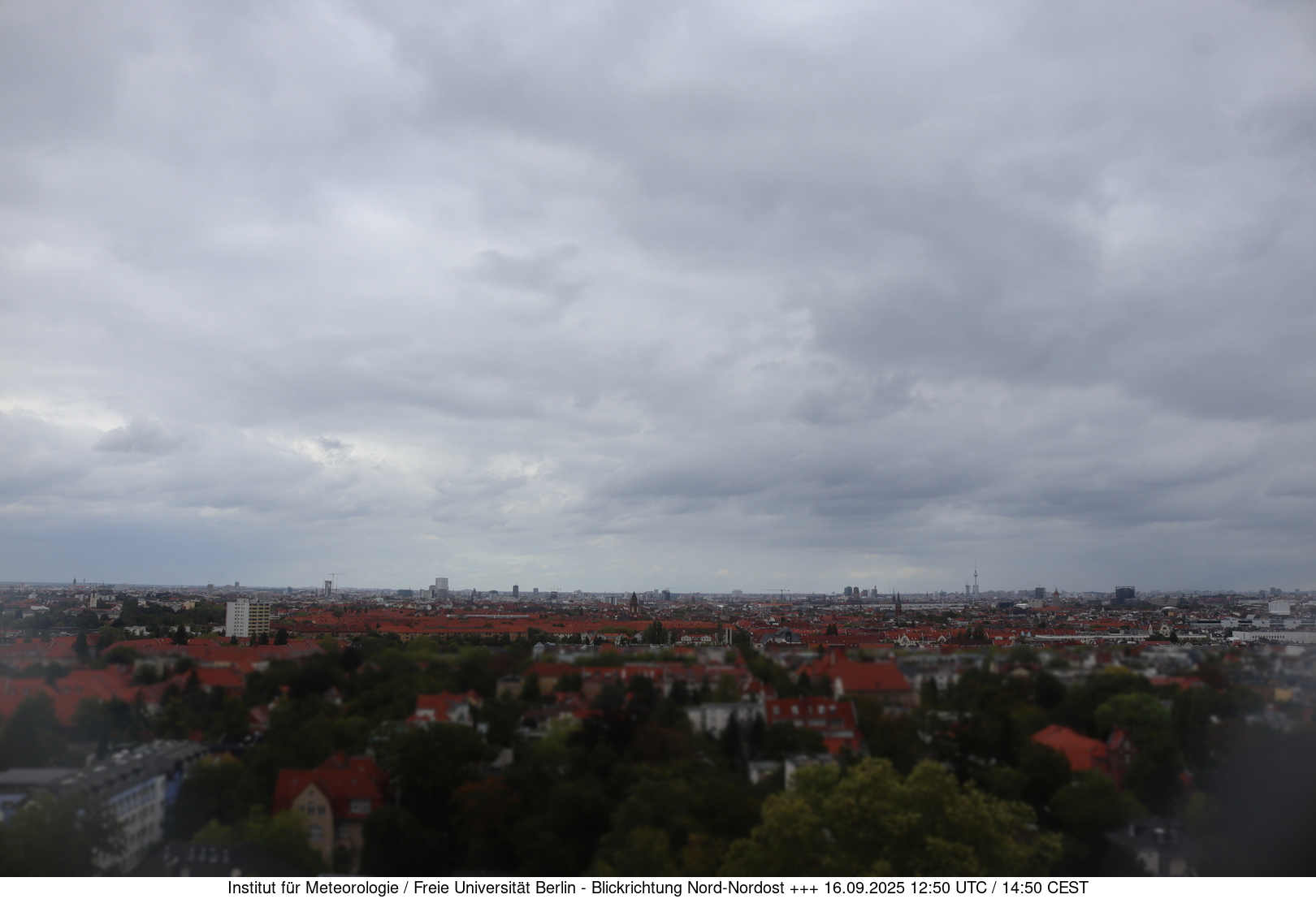 Webcam Bild