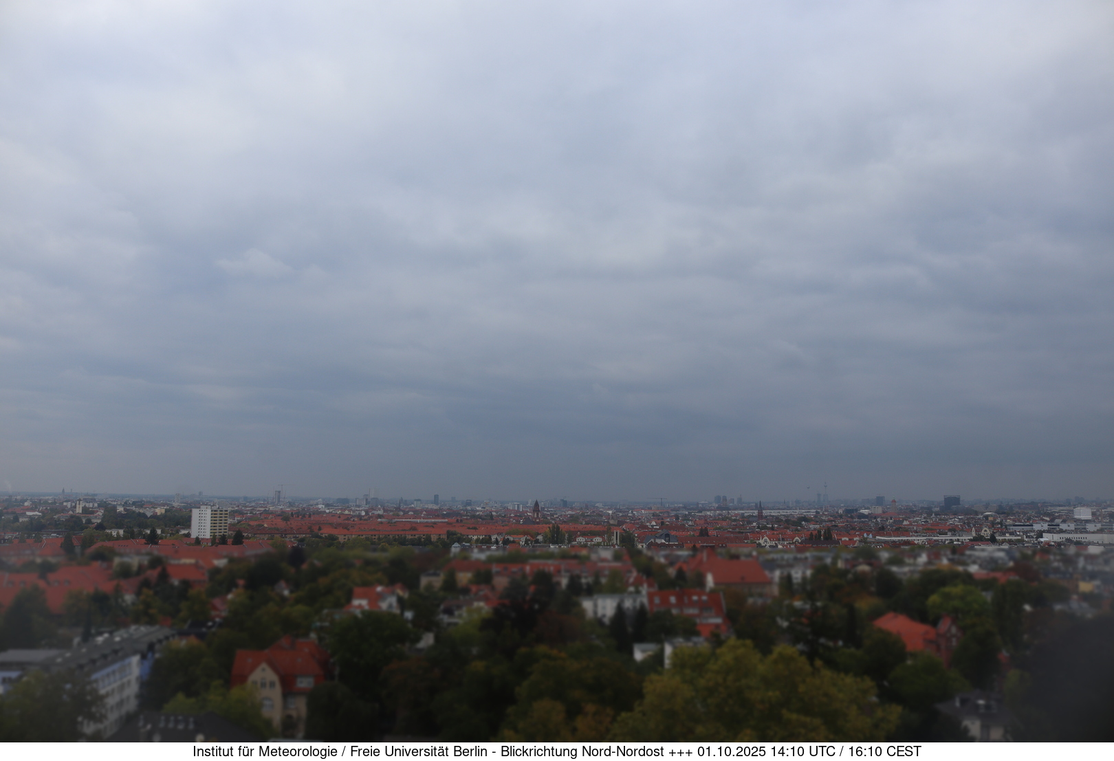 Webcam Bild
