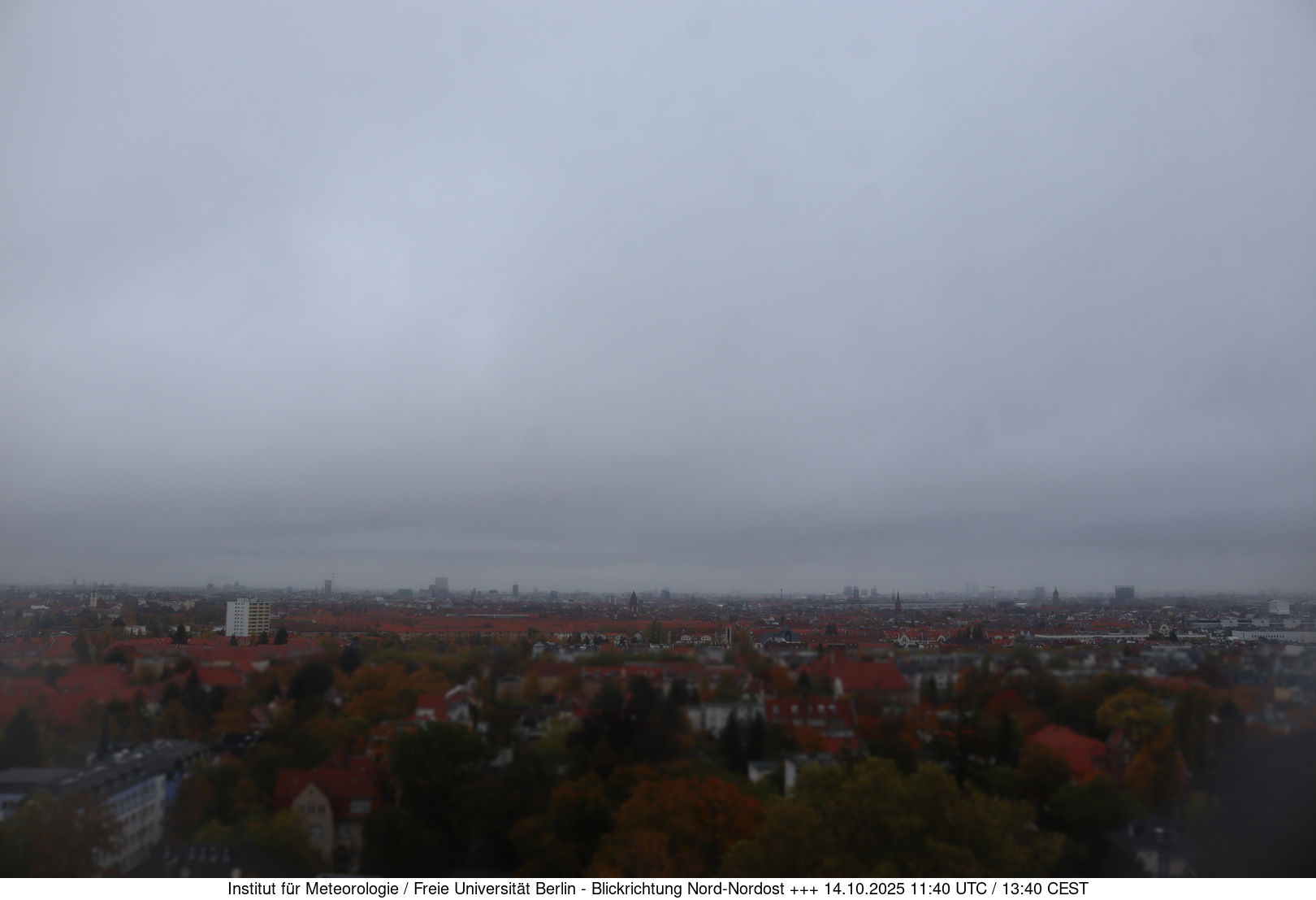 Webcam Bild