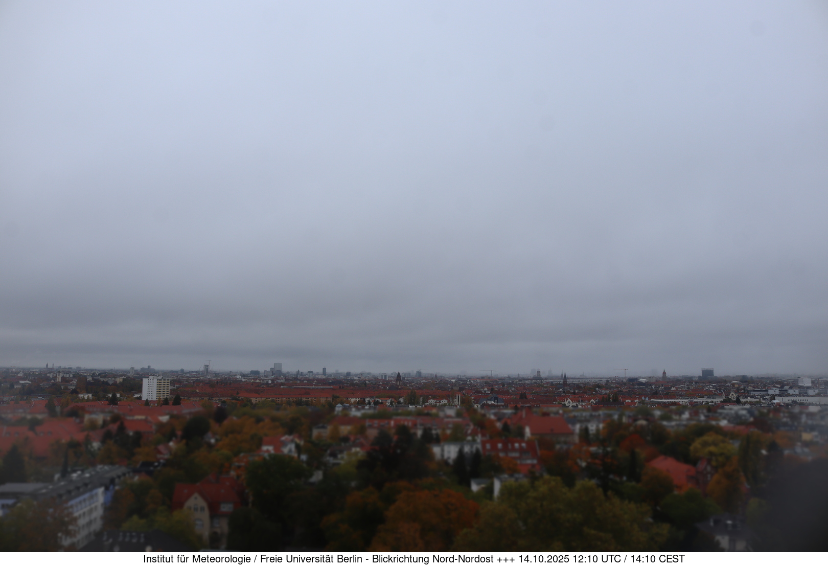 Webcam Bild