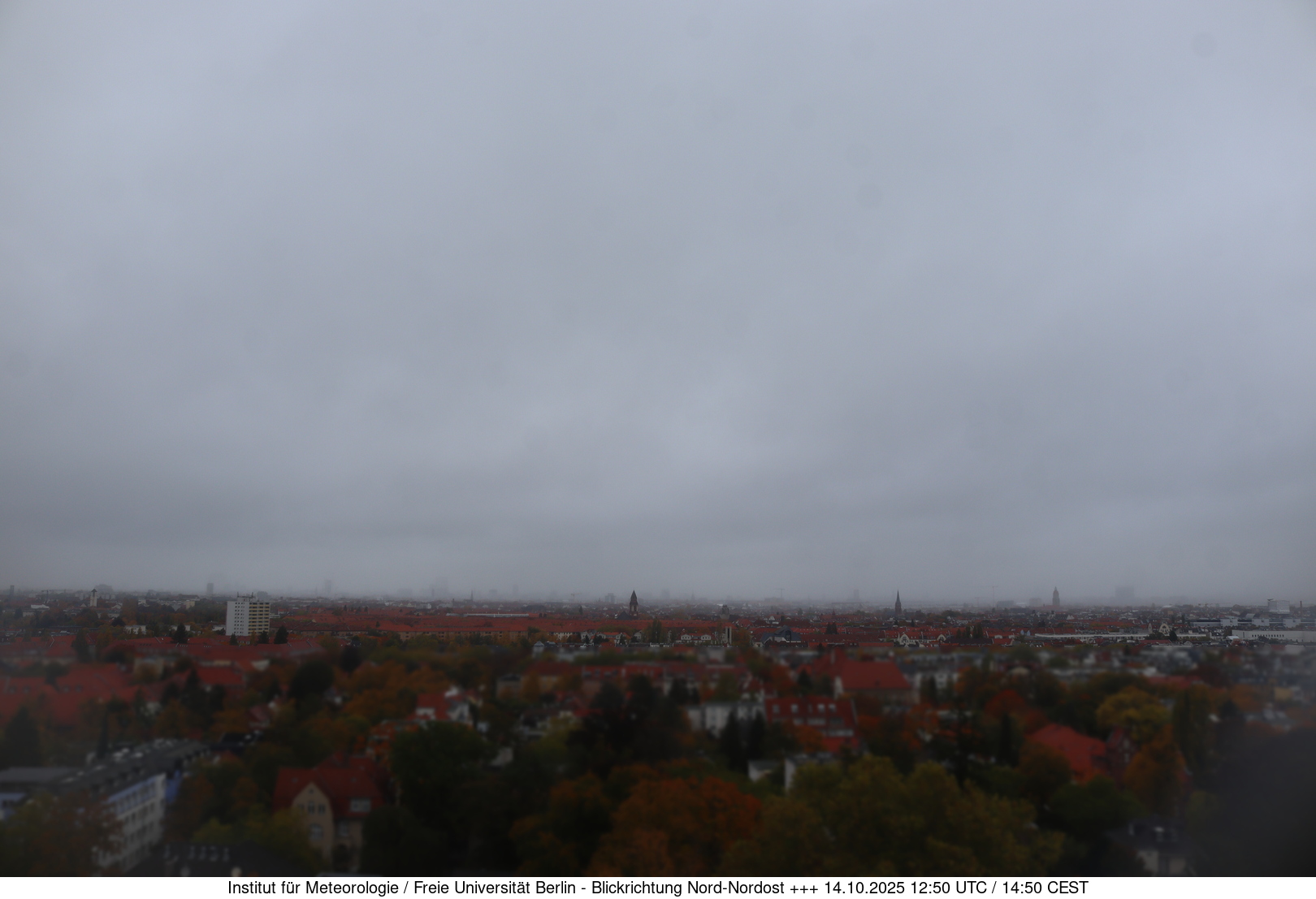 Webcam Bild