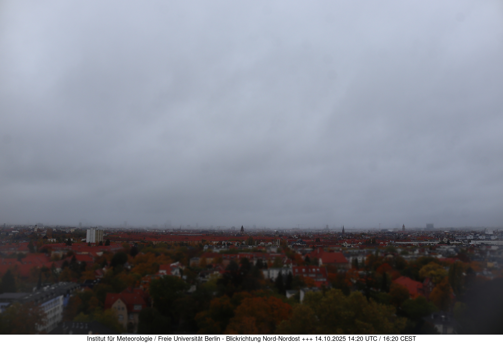 Webcam Bild