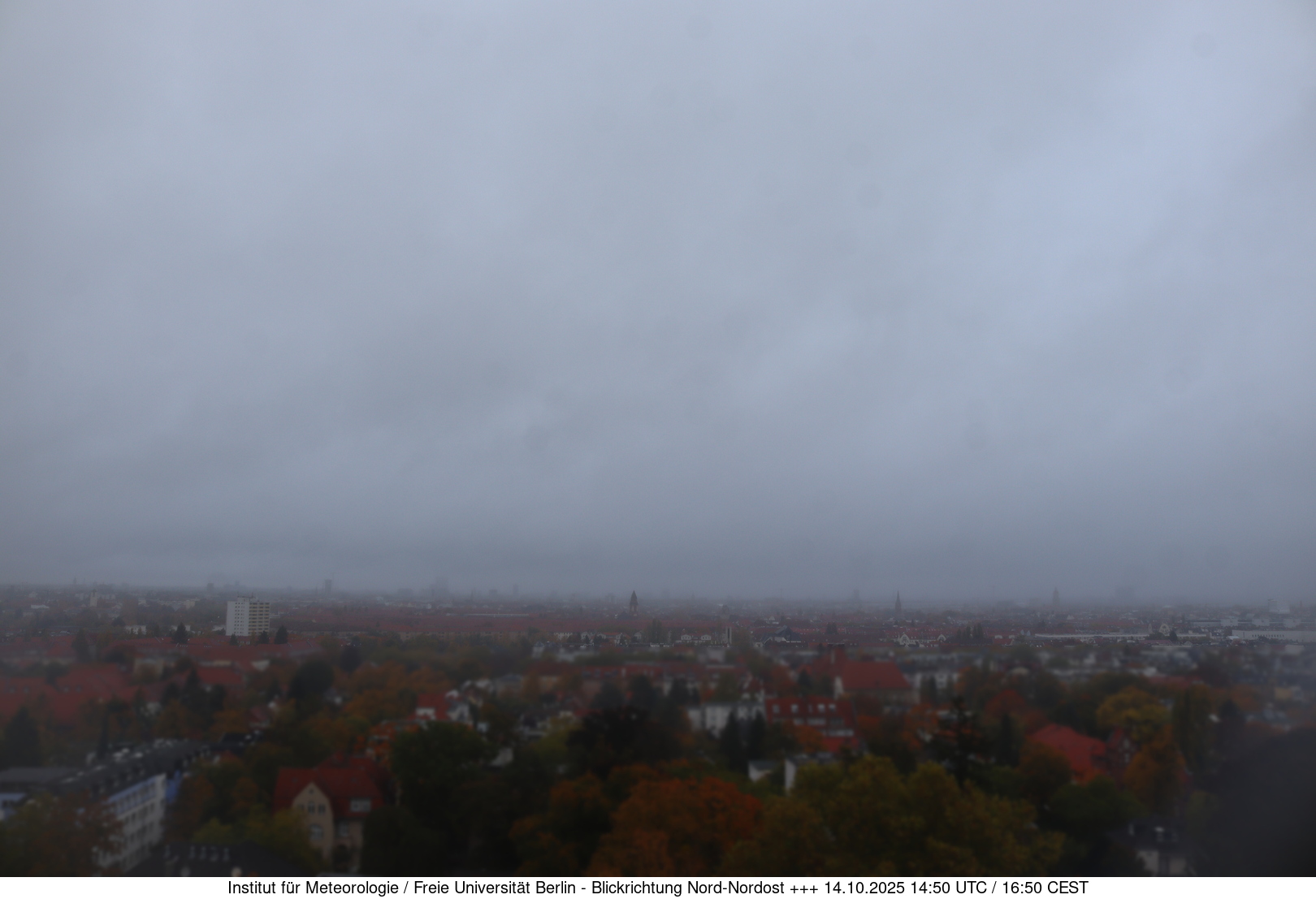 Webcam Bild