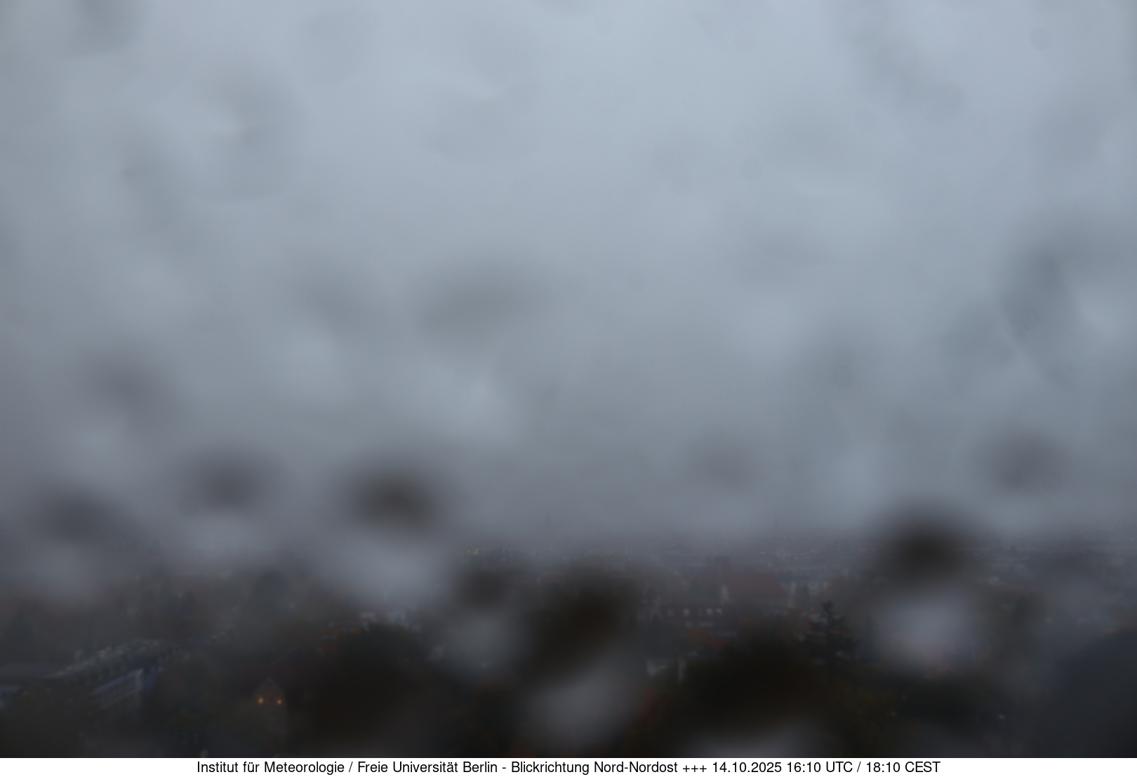Webcam Bild