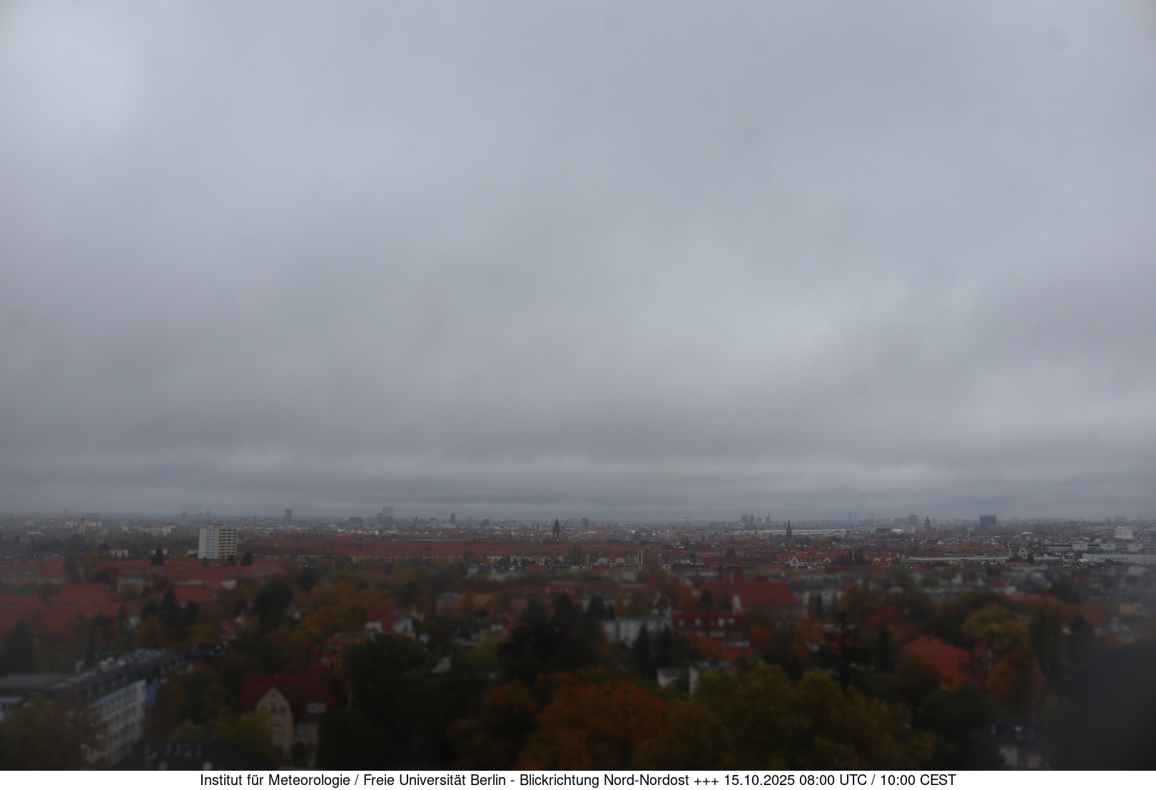 Webcam Bild