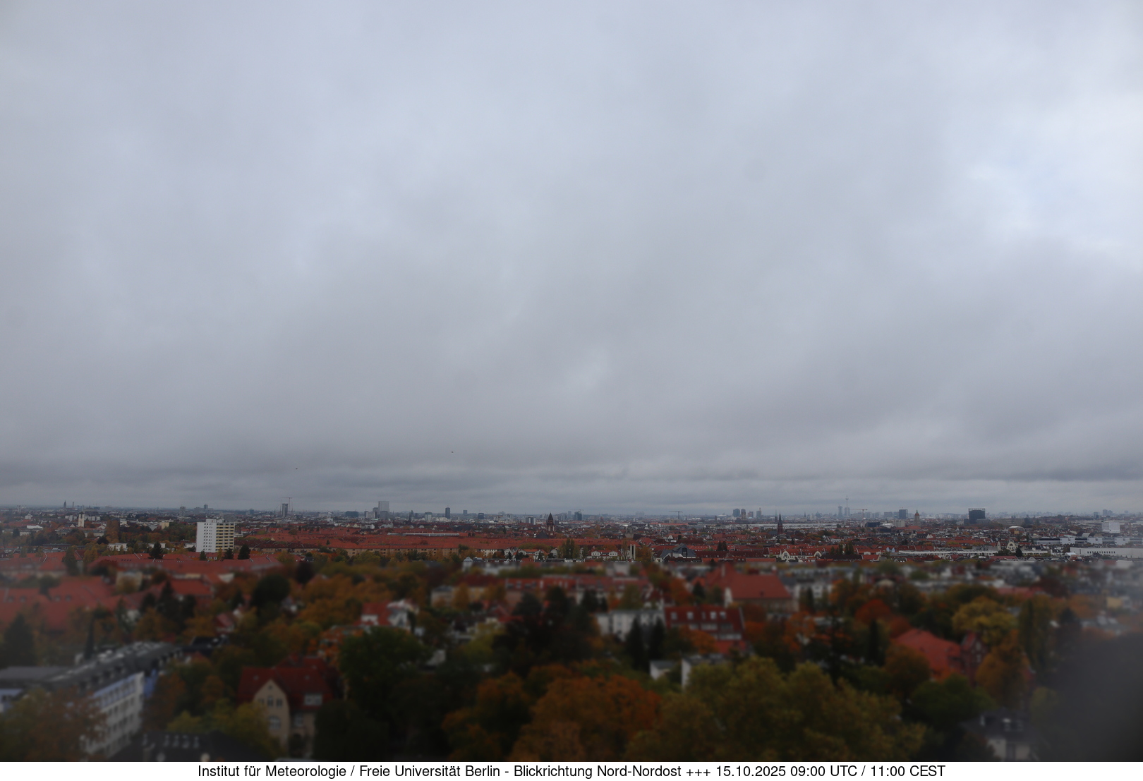 Webcam Bild