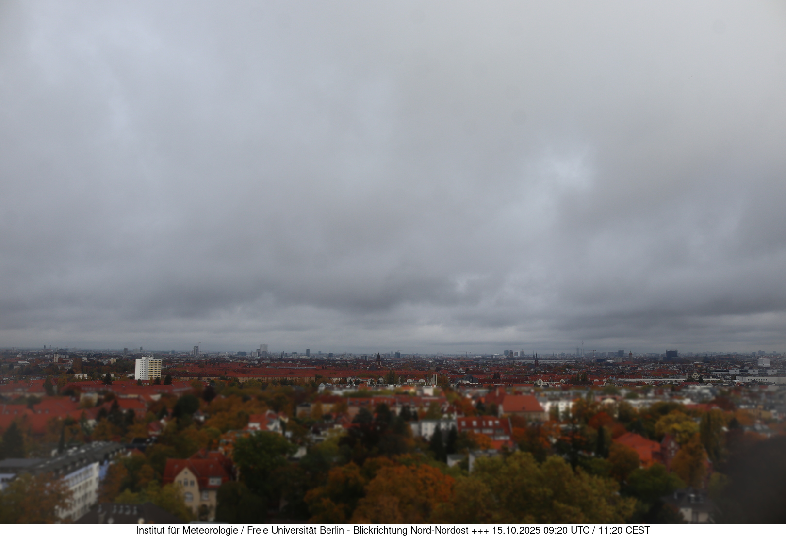 Webcam Bild