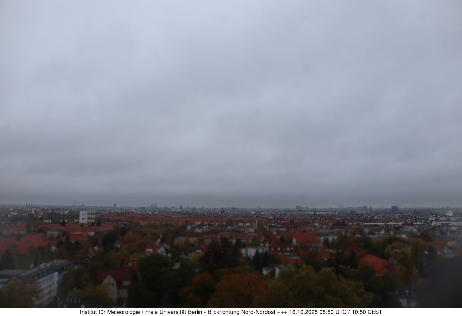 Webcam Bild