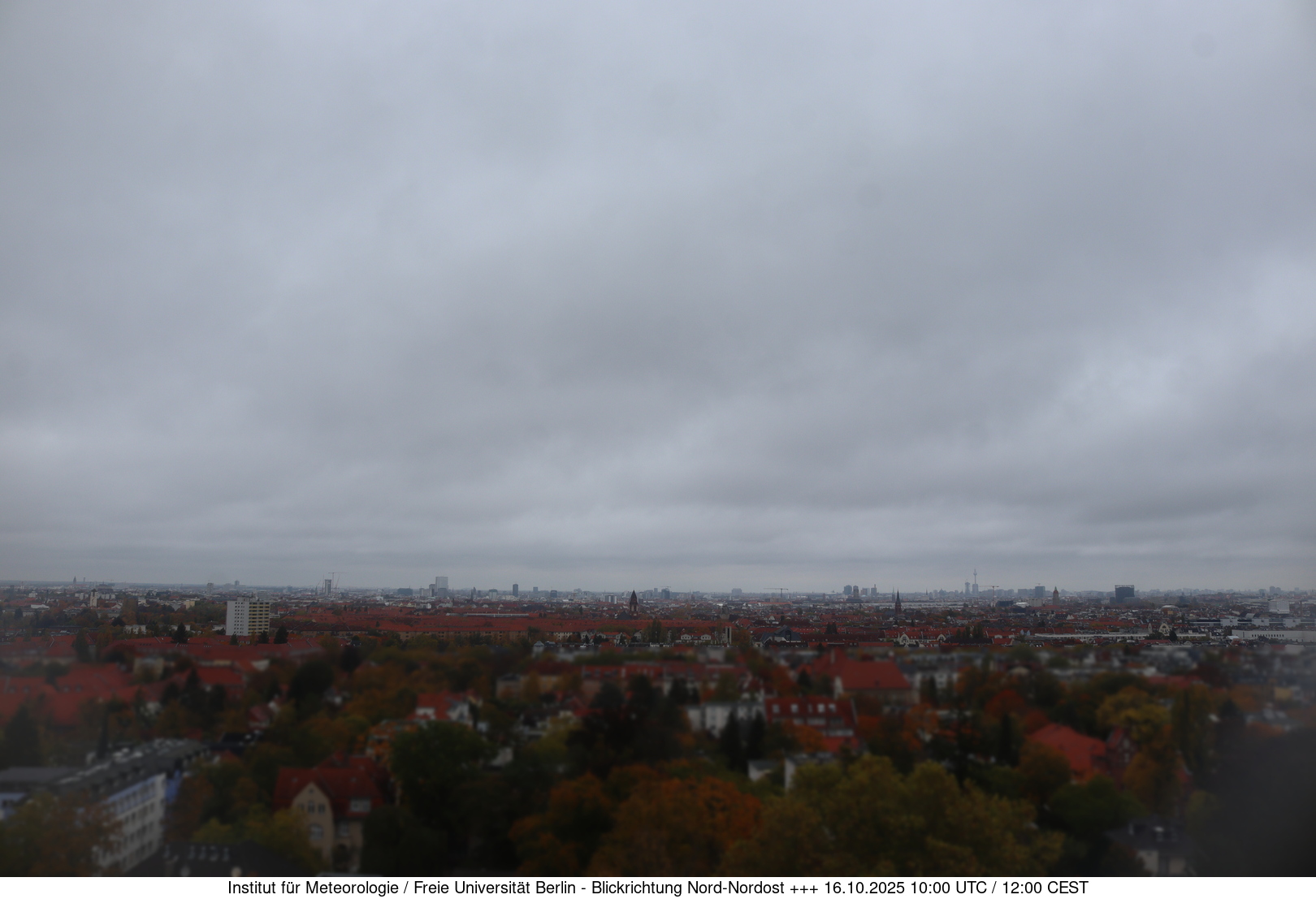 Webcam Bild