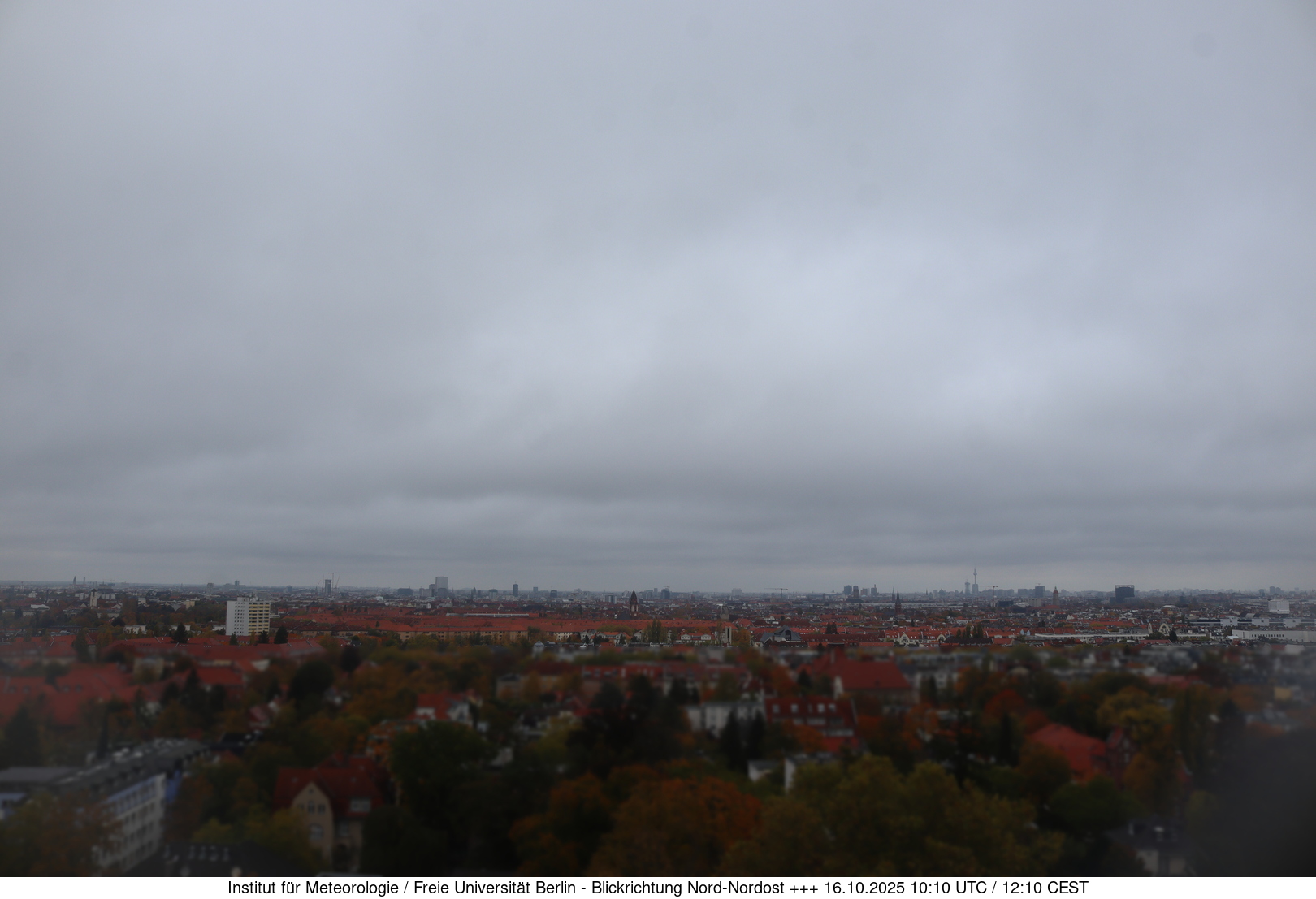 Webcam Bild