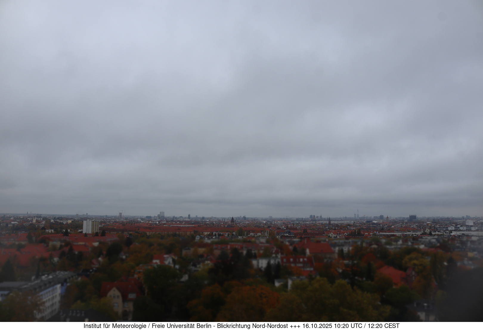 Webcam Bild