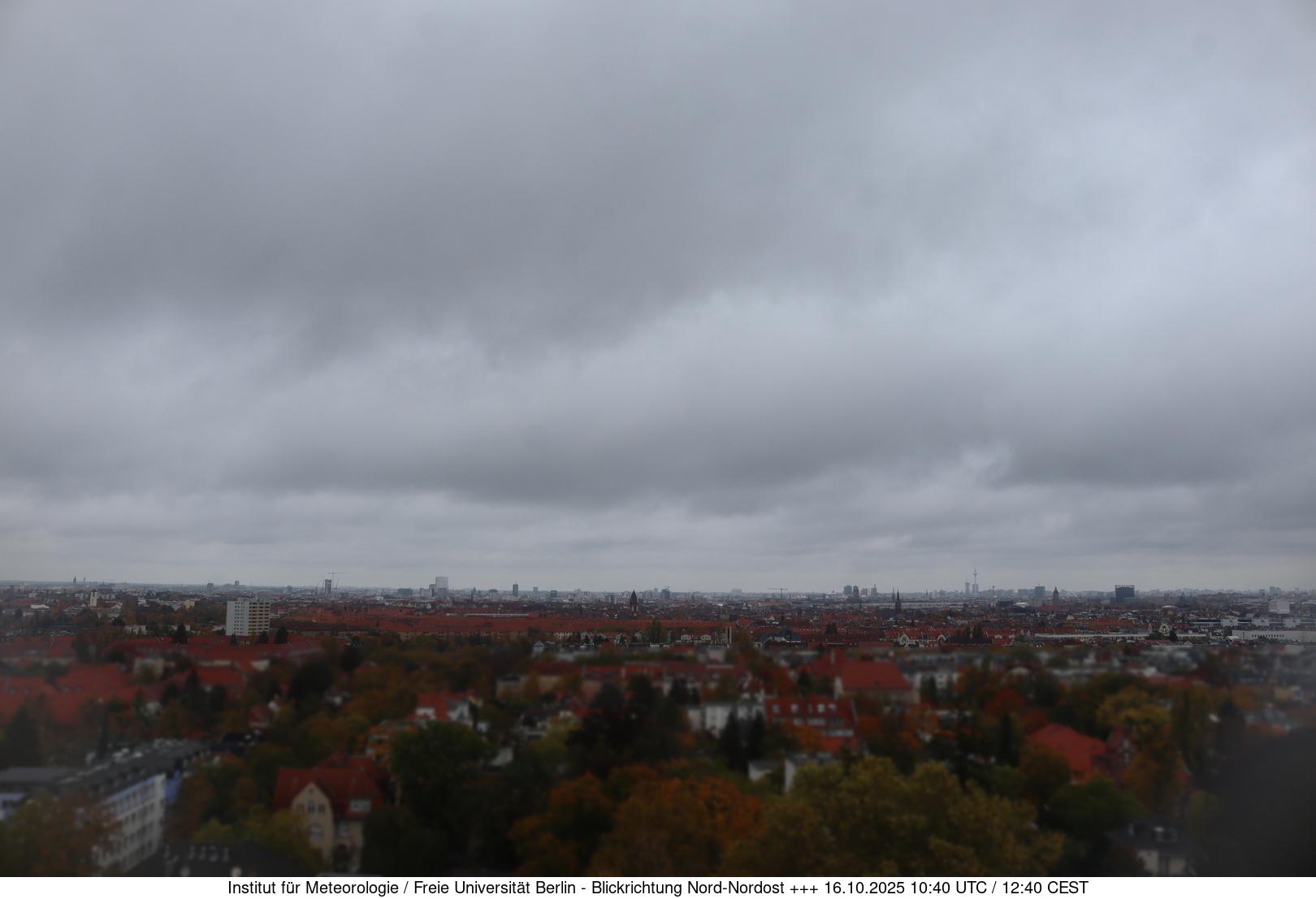 Webcam Bild