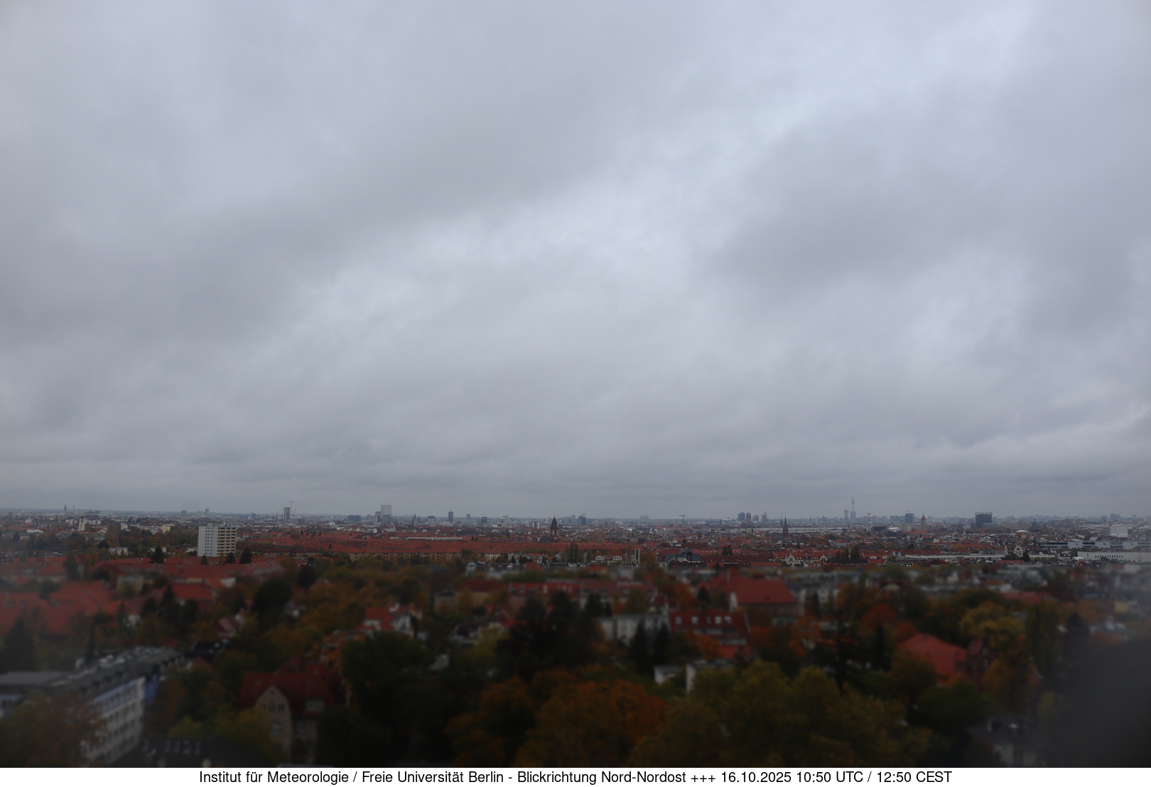 Webcam Bild