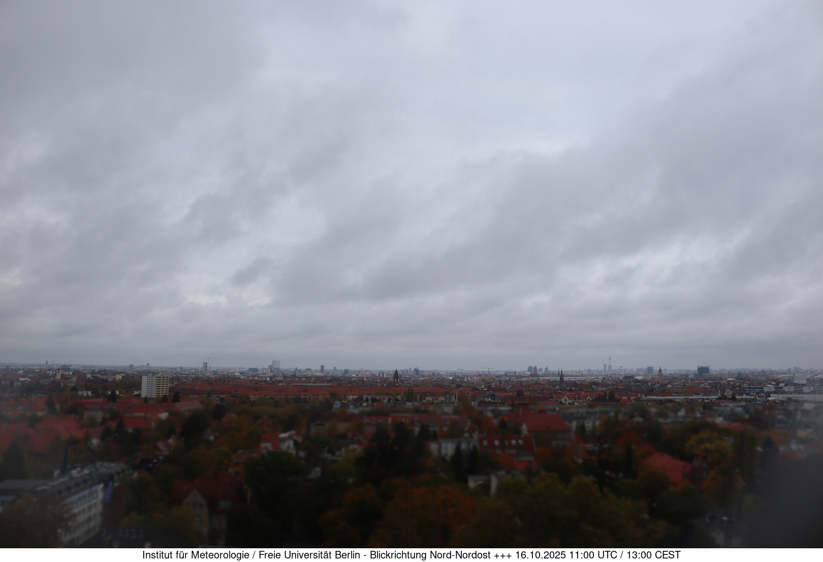 Webcam Bild