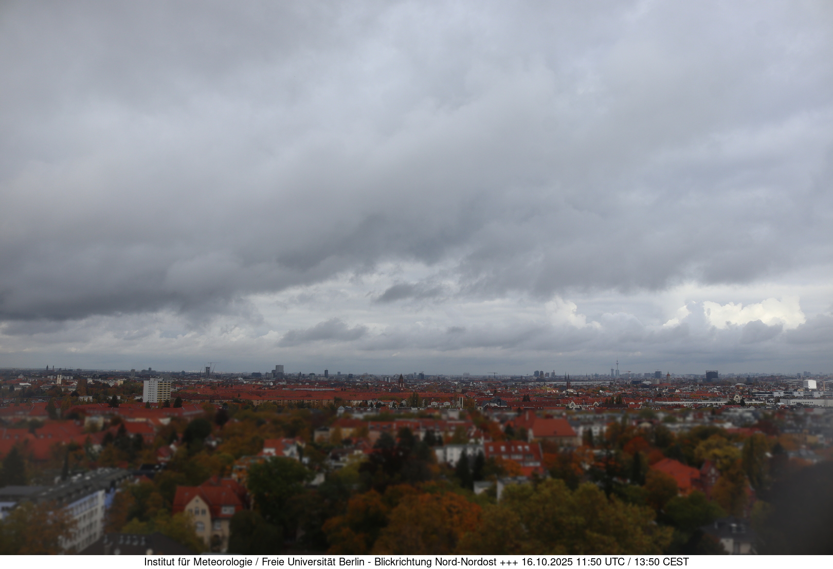 Webcam Bild