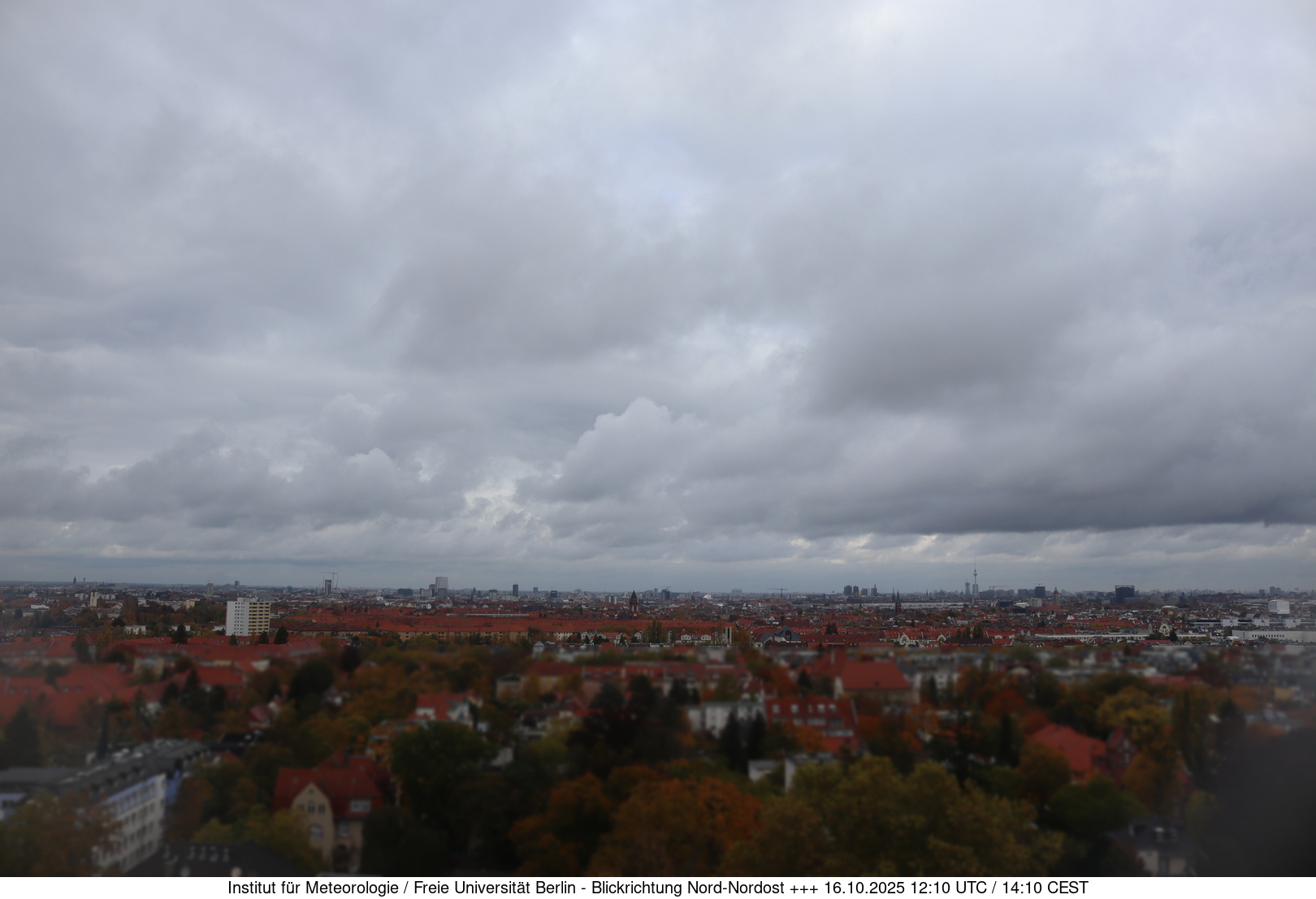 Webcam Bild