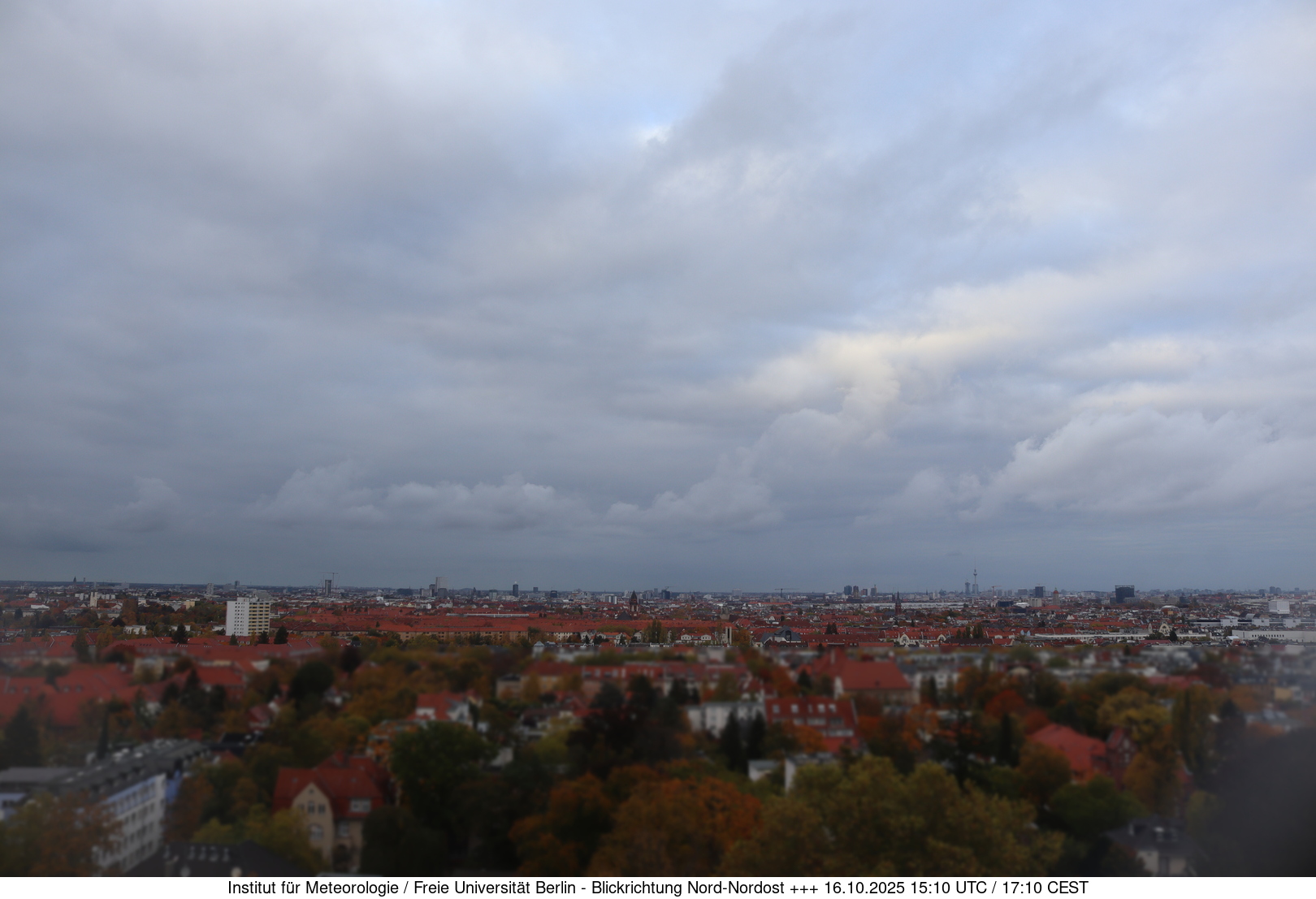Webcam Bild