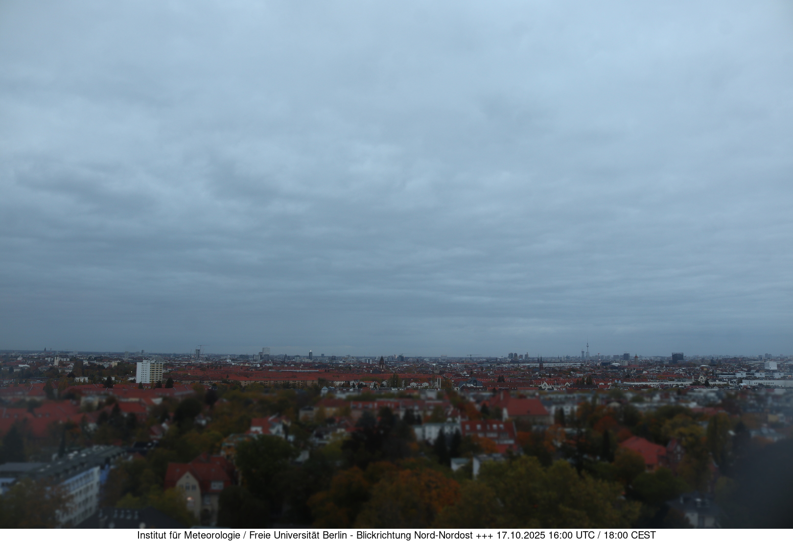 Webcam Bild