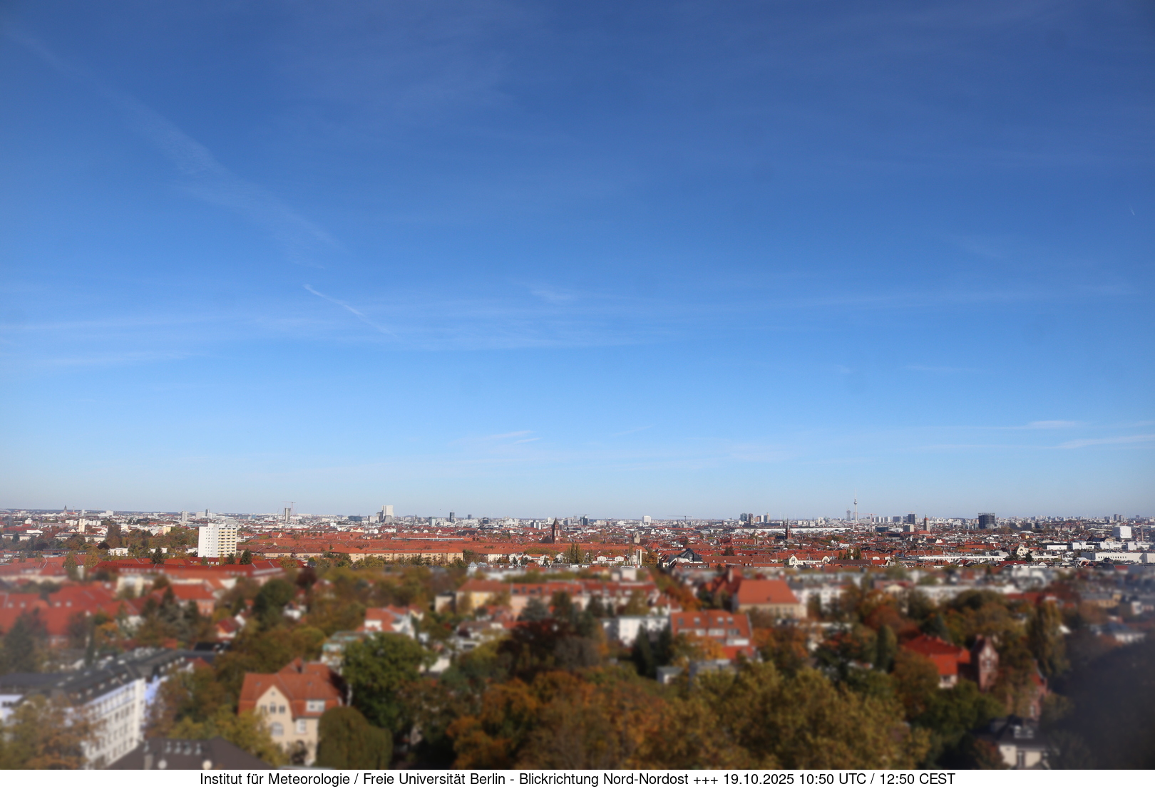 Webcam Bild