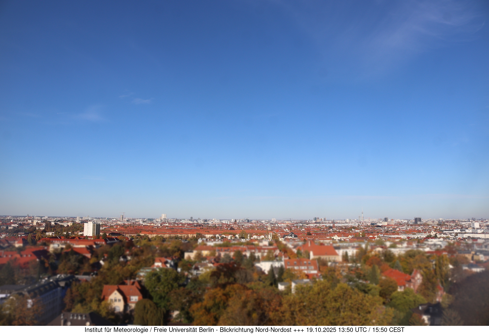 Webcam Bild