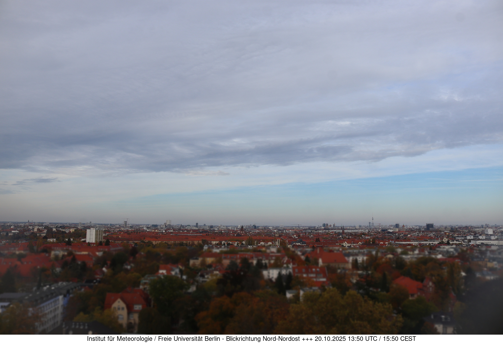 Webcam Bild