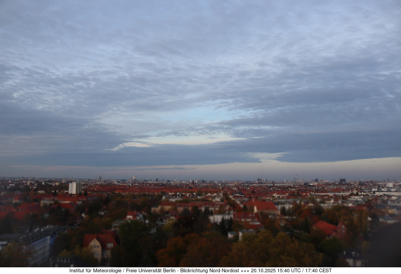 Webcam Bild