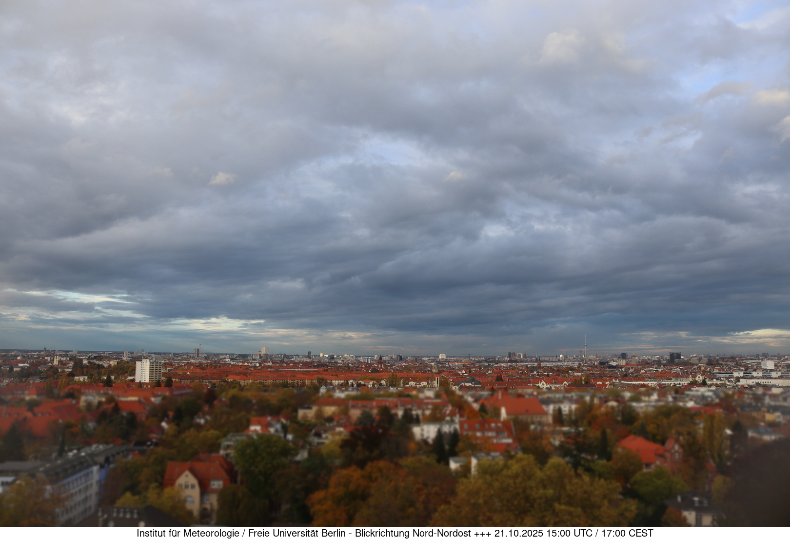 Webcam Bild