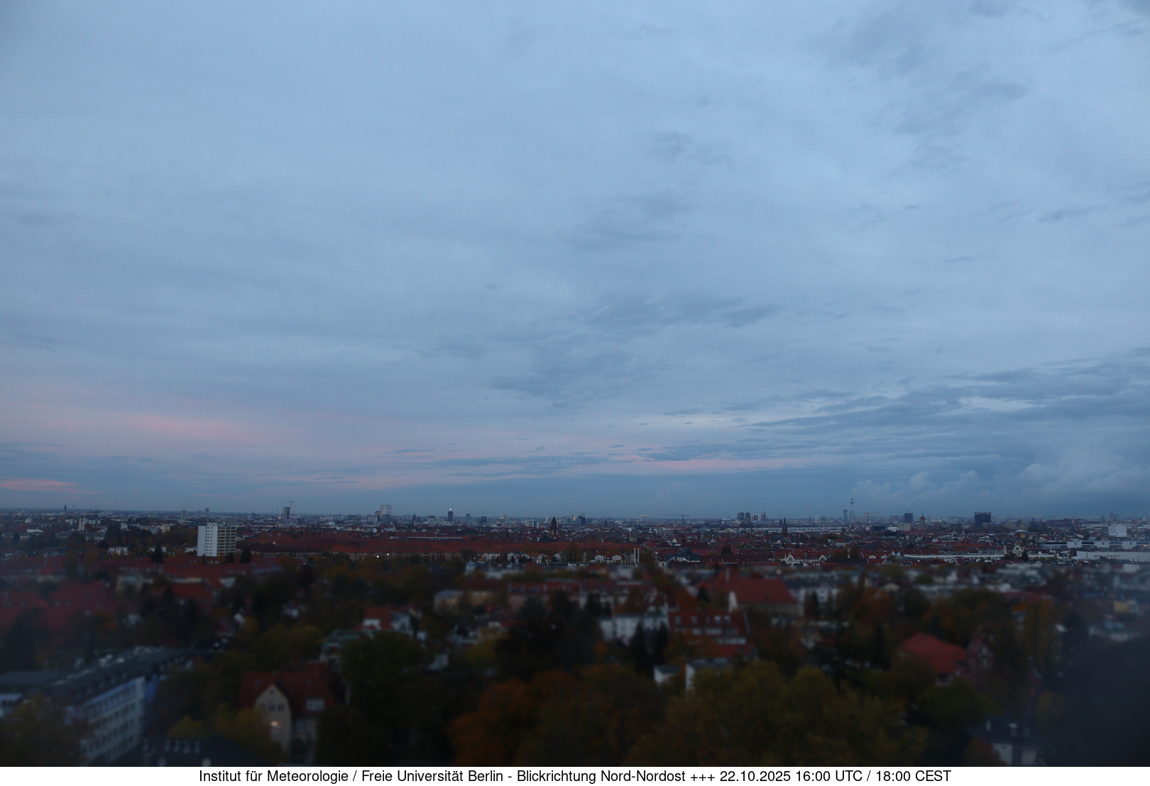 Webcam Bild