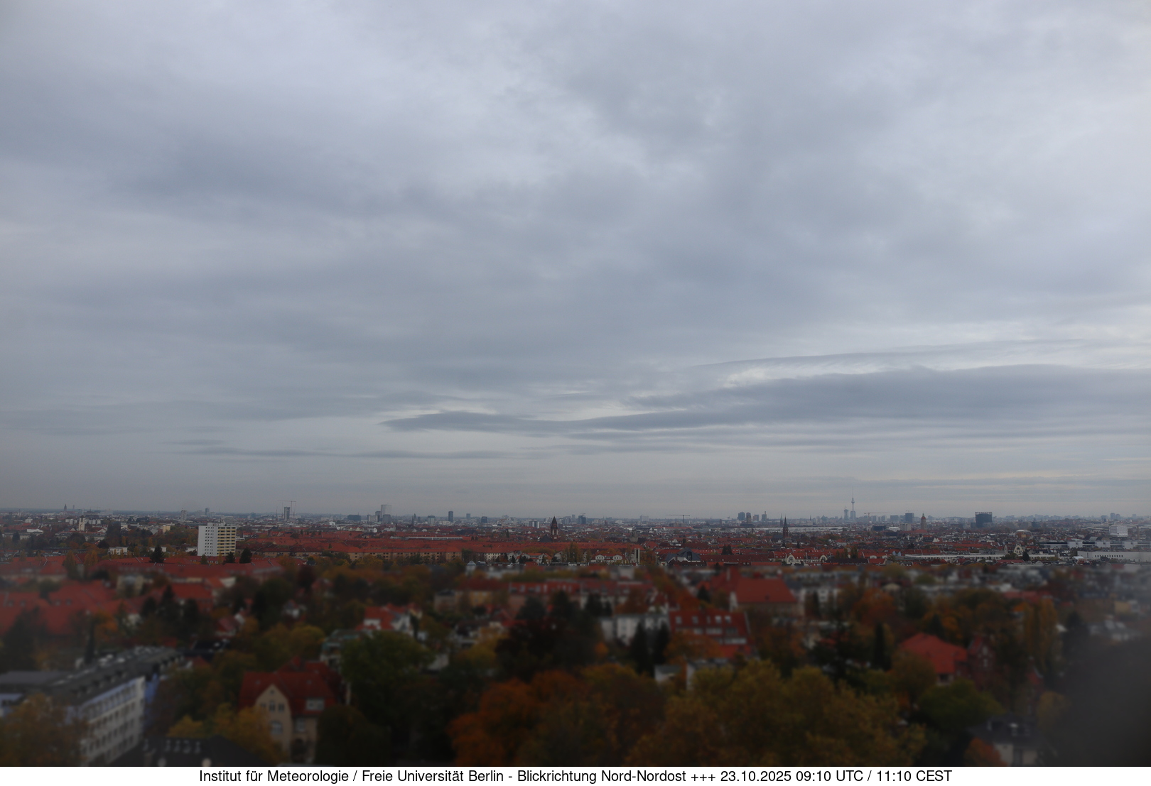 Webcam Bild