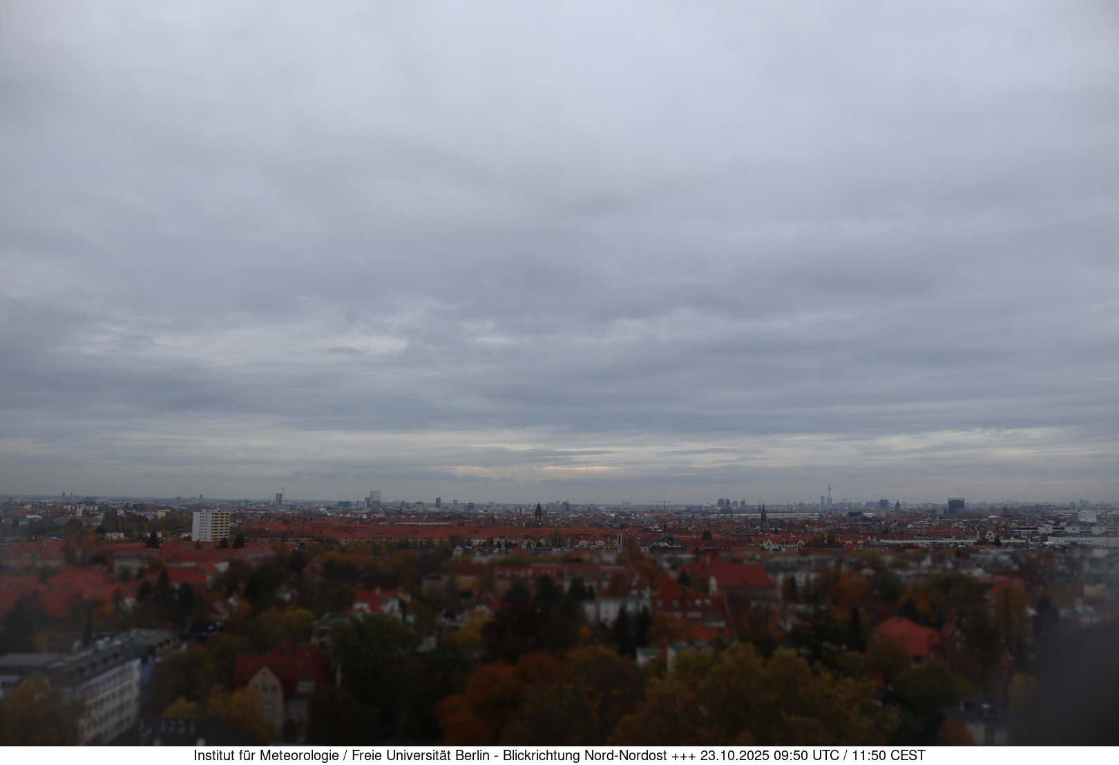 Webcam Bild