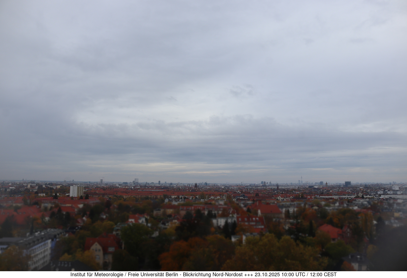 Webcam Bild