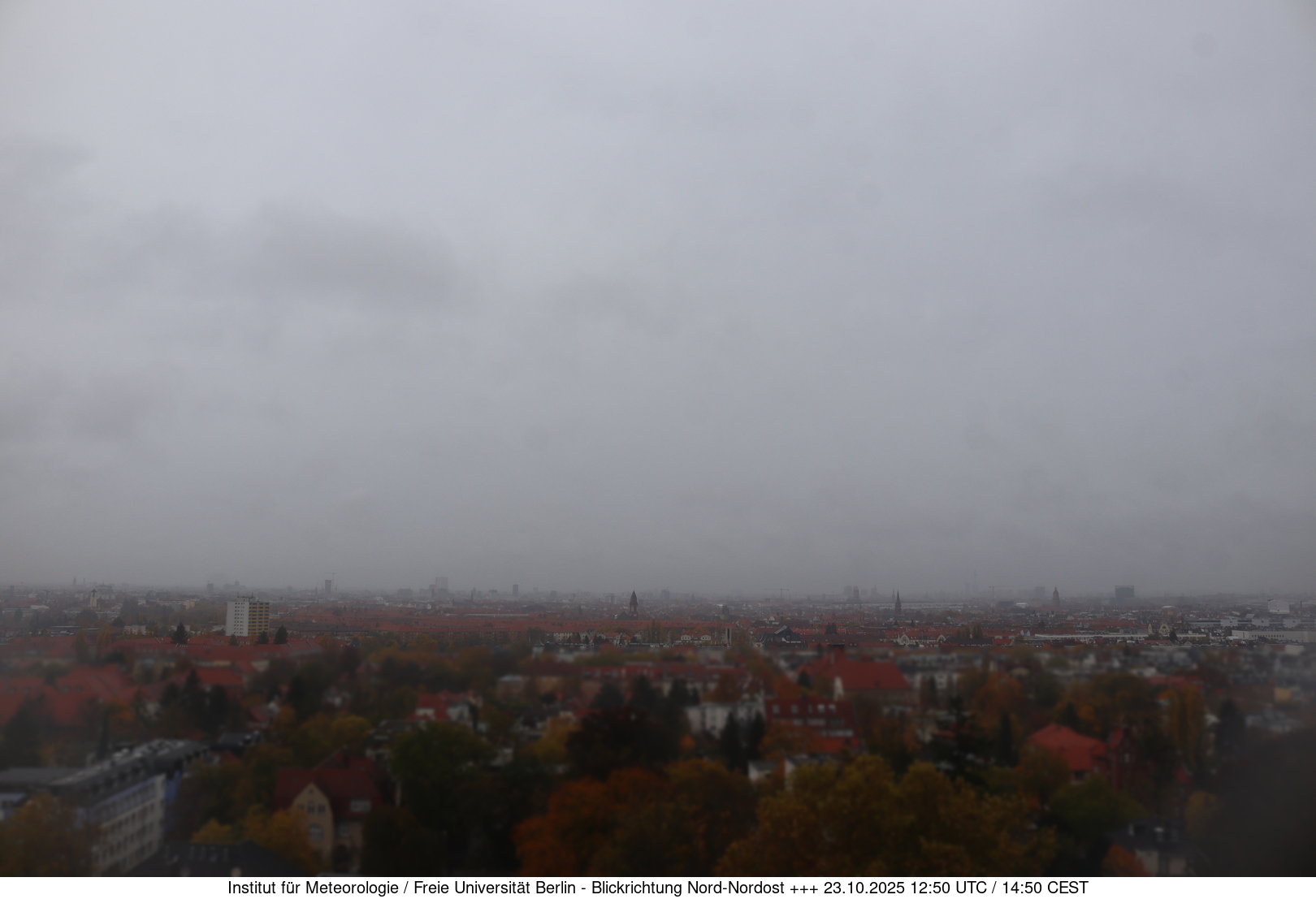 Webcam Bild