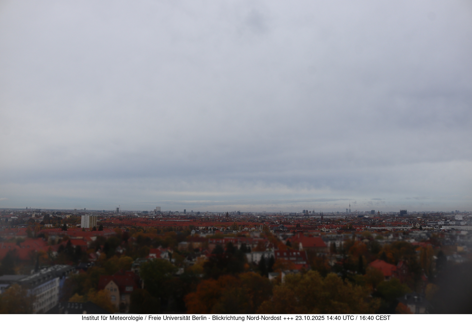 Webcam Bild