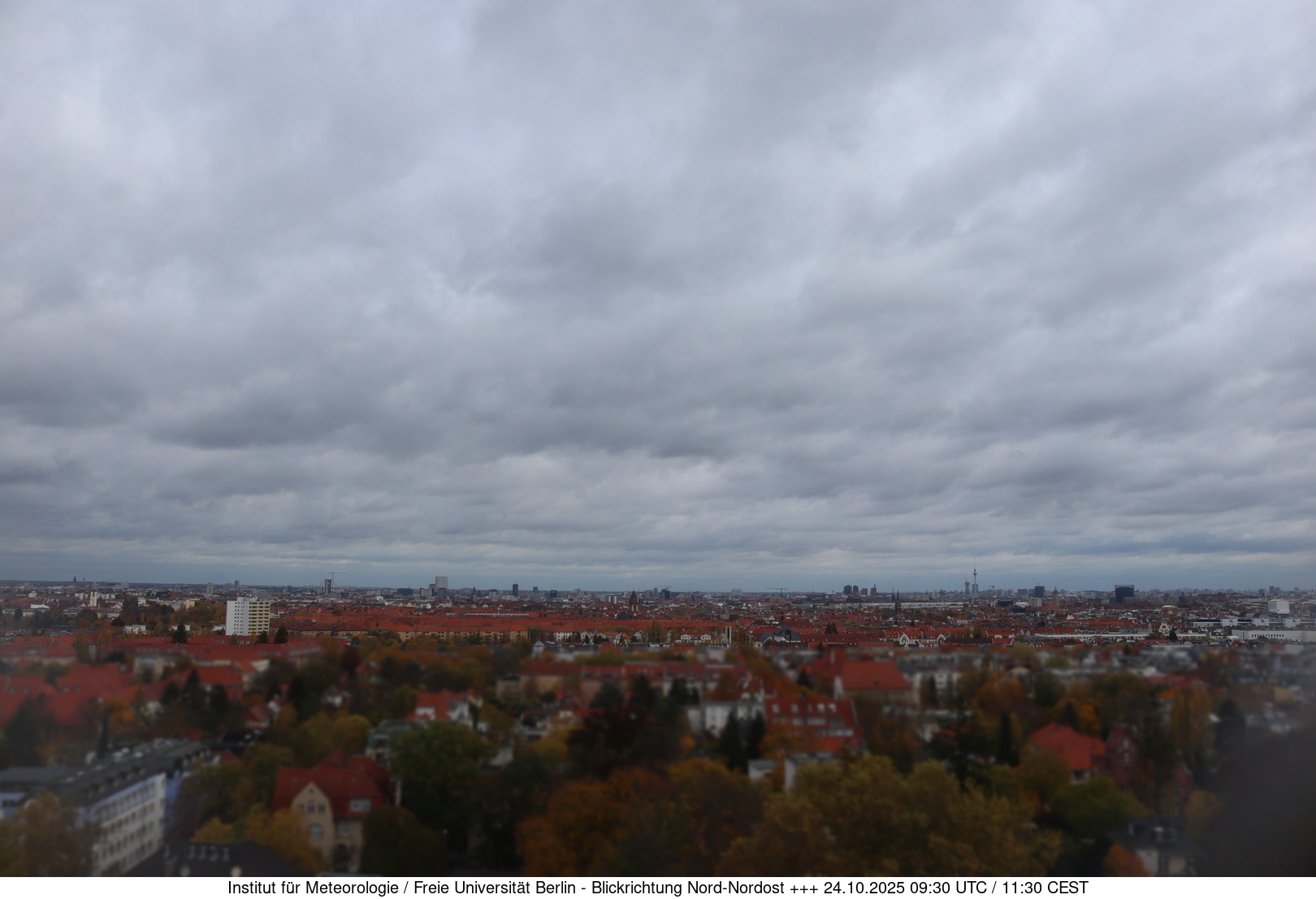 Webcam Bild