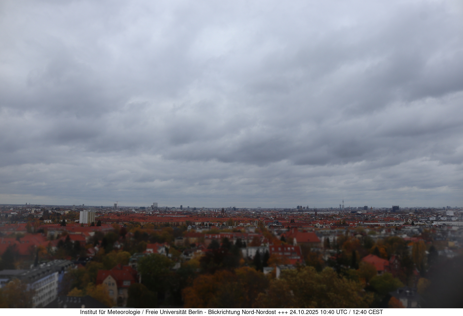 Webcam Bild