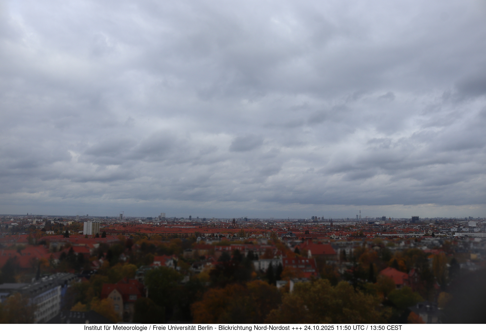 Webcam Bild