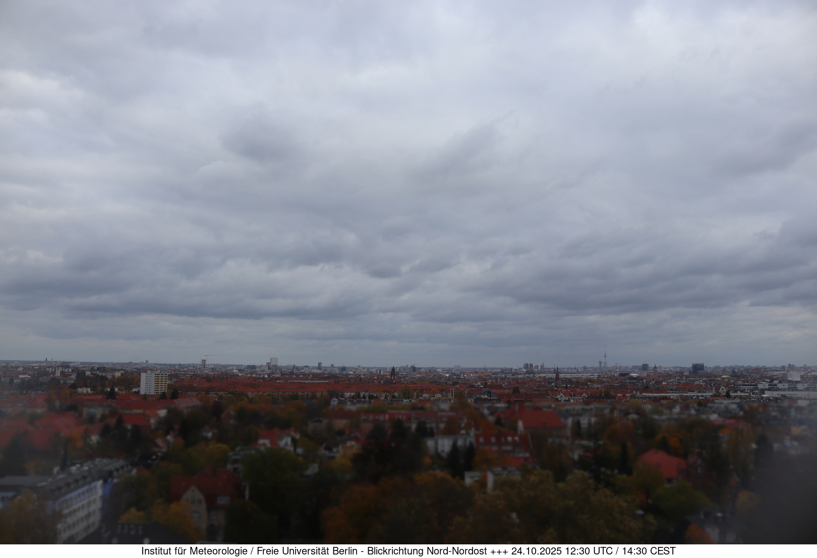 Webcam Bild
