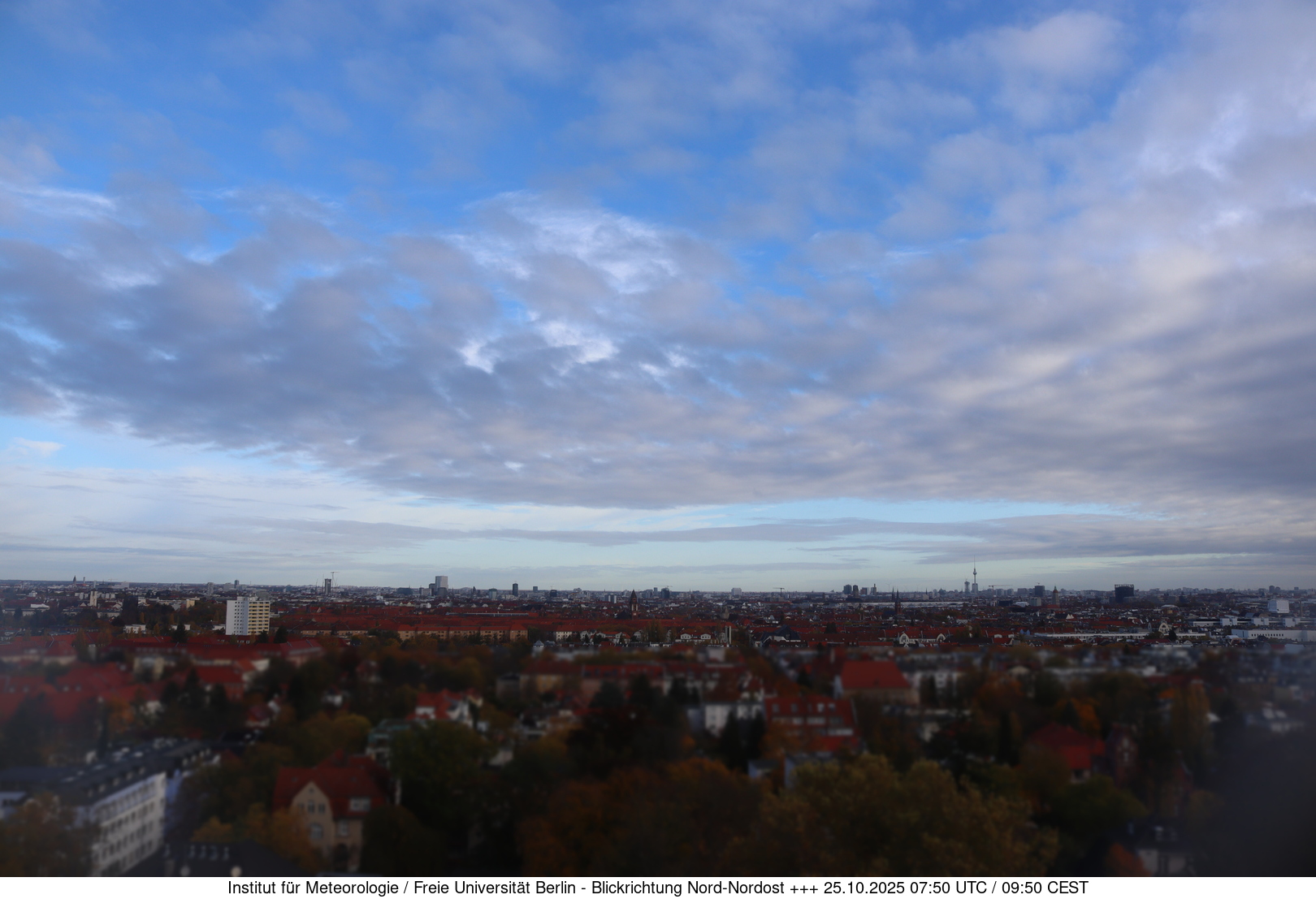 Webcam Bild