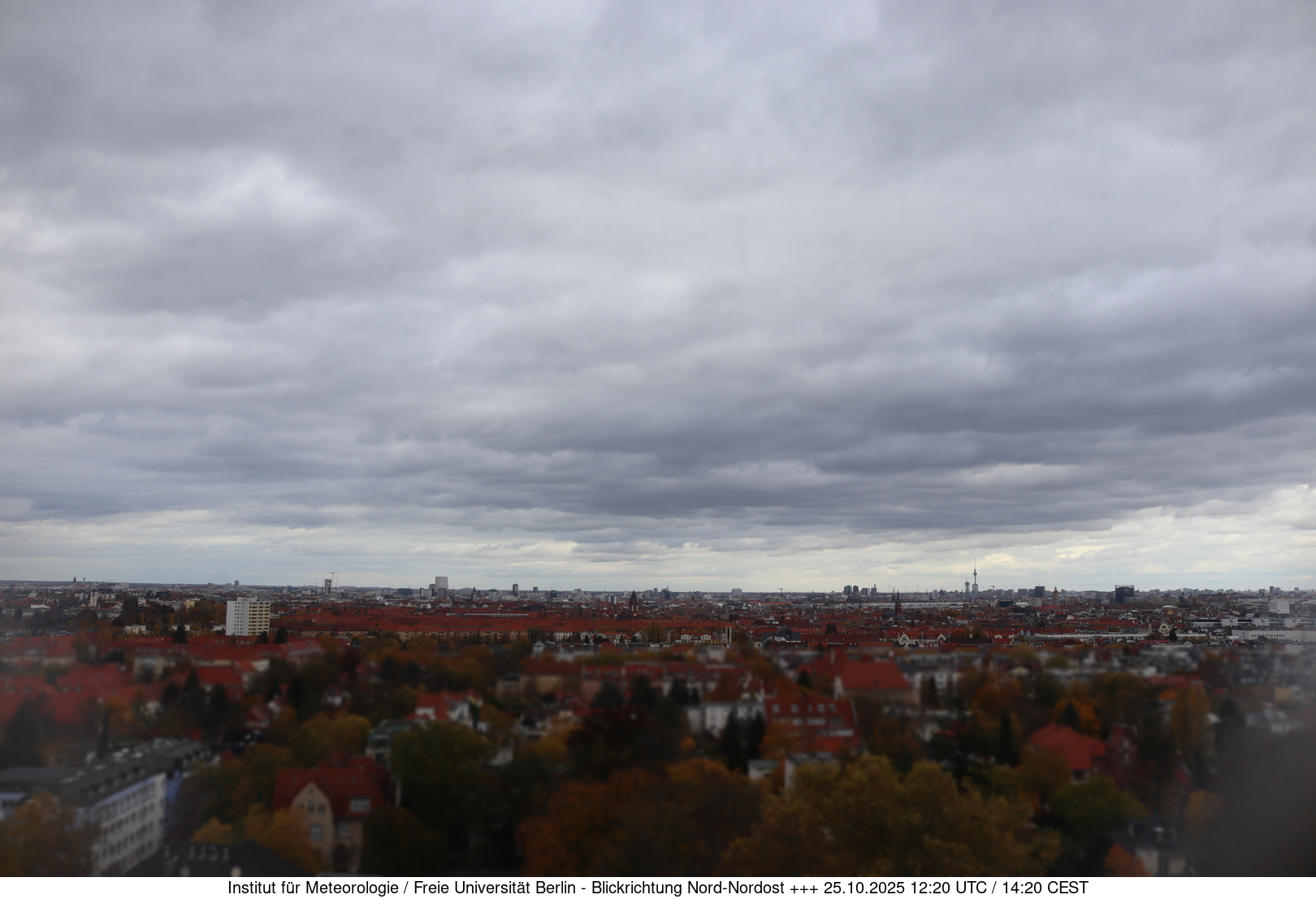 Webcam Bild