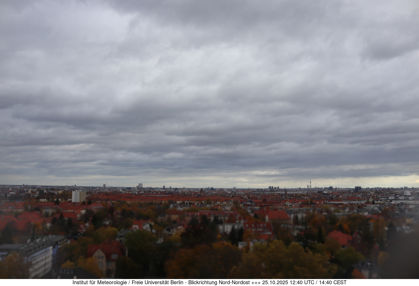 Webcam Bild