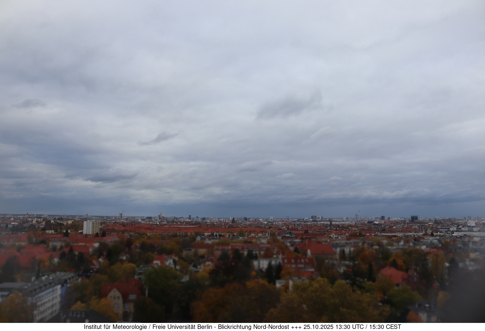 Webcam Bild