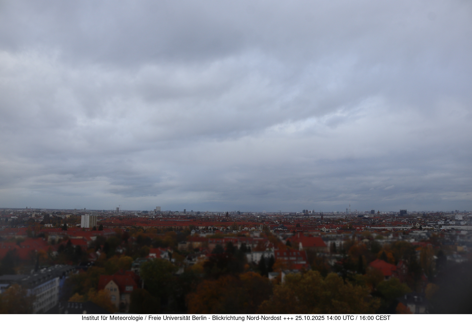 Webcam Bild