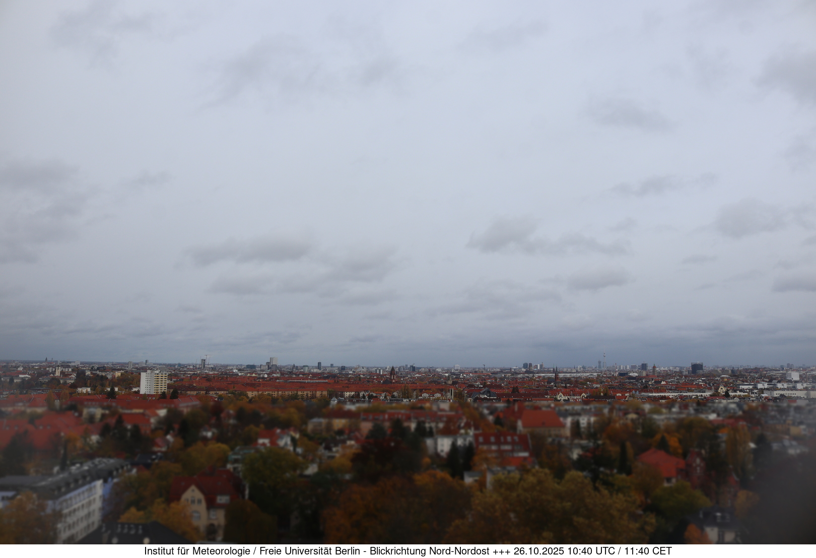 Webcam Bild