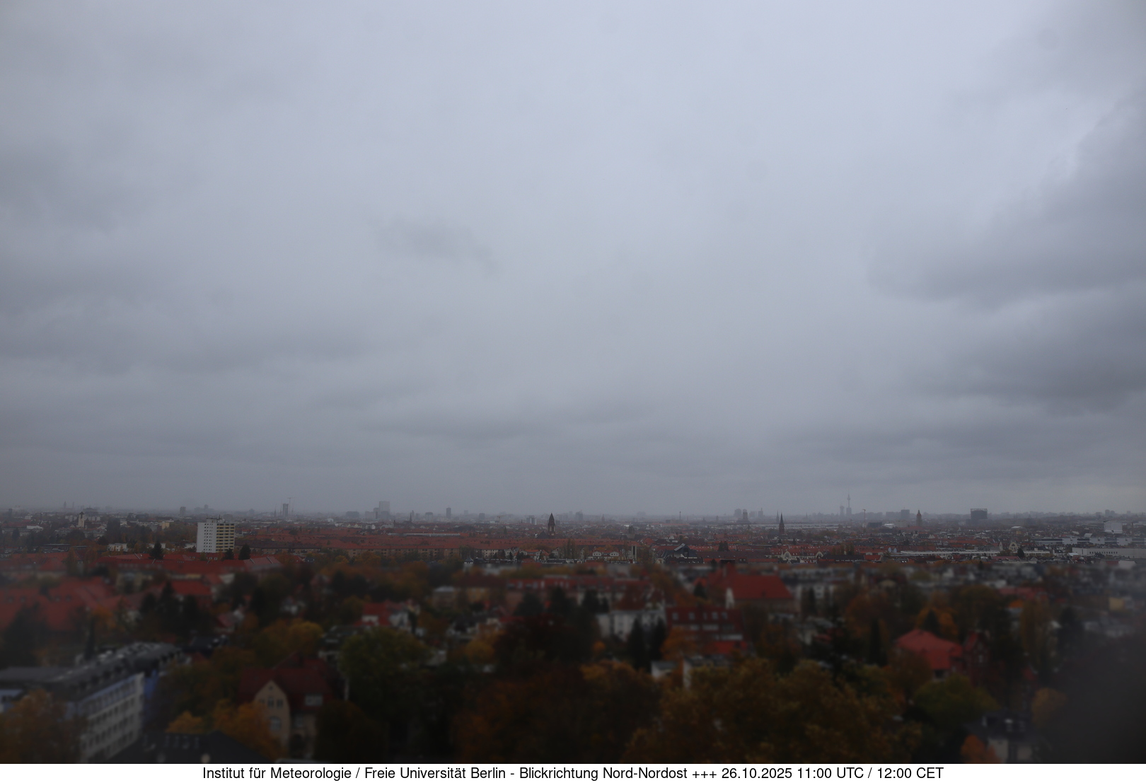 Webcam Bild